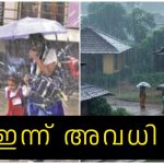 Wayanad News