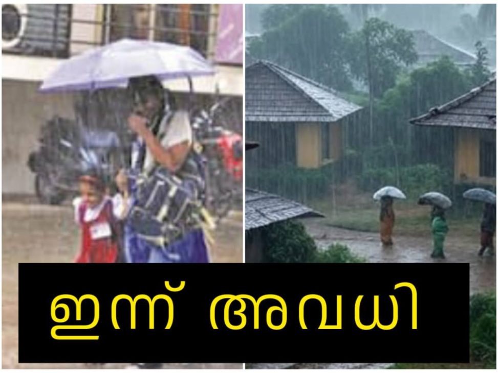 Wayanad News